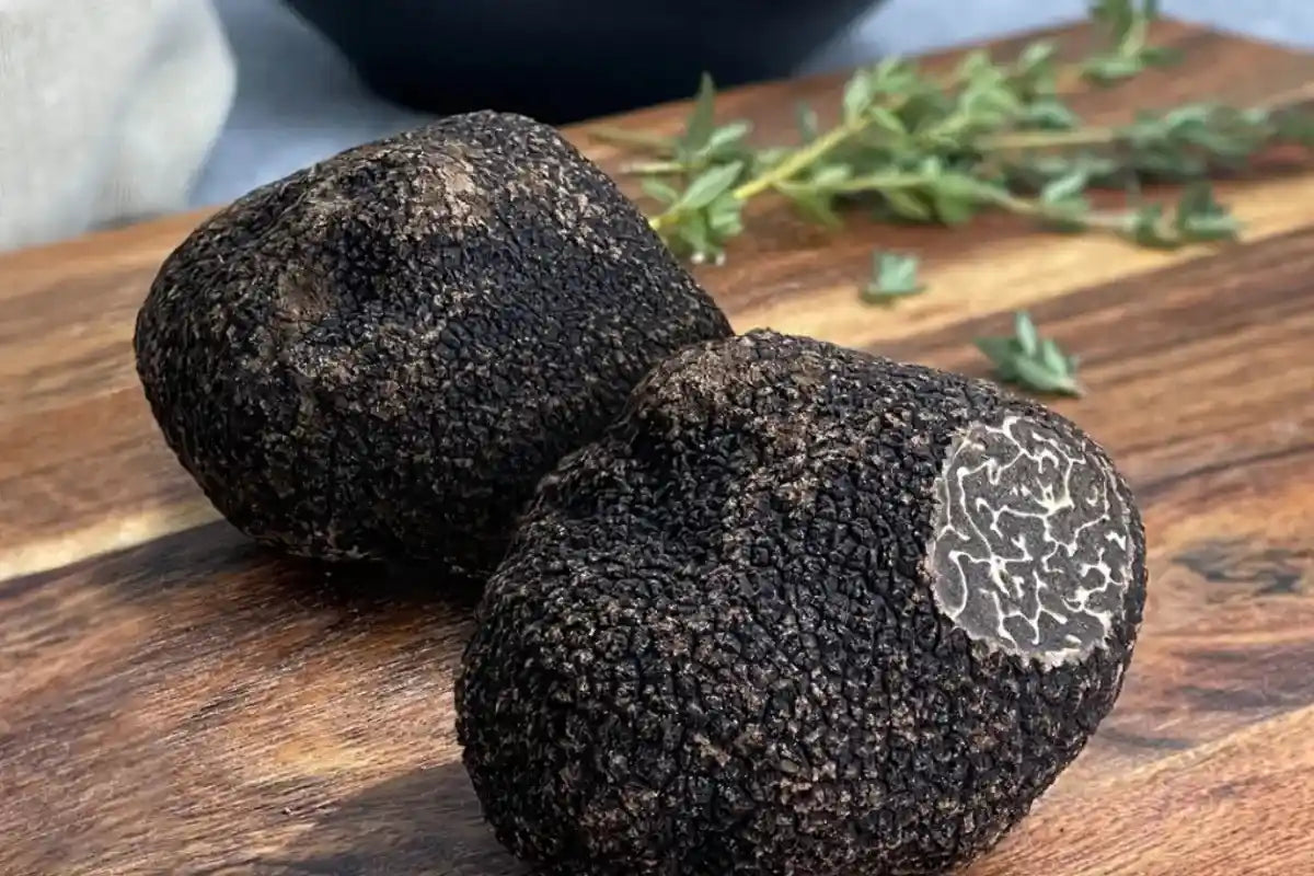 TRUFFLE DELICACIES (Launching Soon)